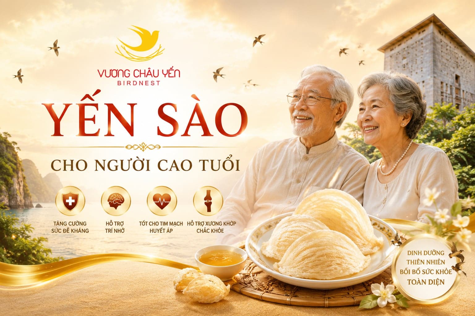 Yến Sào Cho Người Cao Tuổi — Tăng Đề Kháng, Phục Hồi Sức Khoẻ
