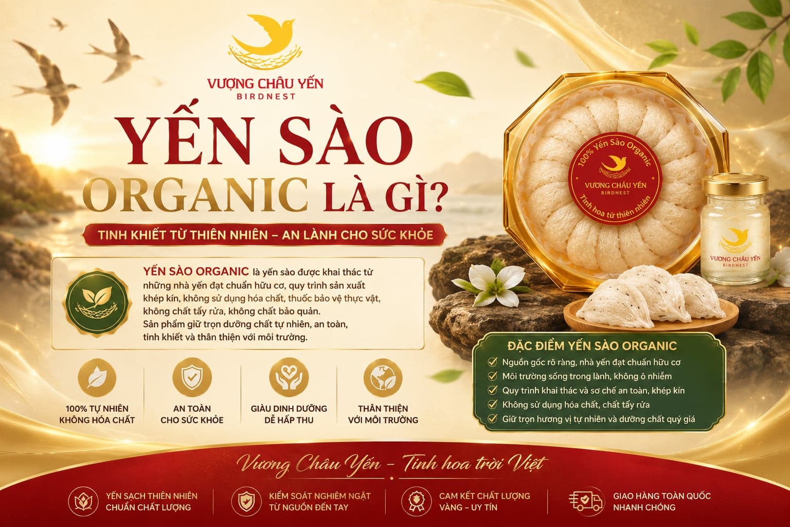 Yến Sào Organic Là Gì? Tiêu Chuẩn, Sự Thật Và Cách Chọn Mua Đúng