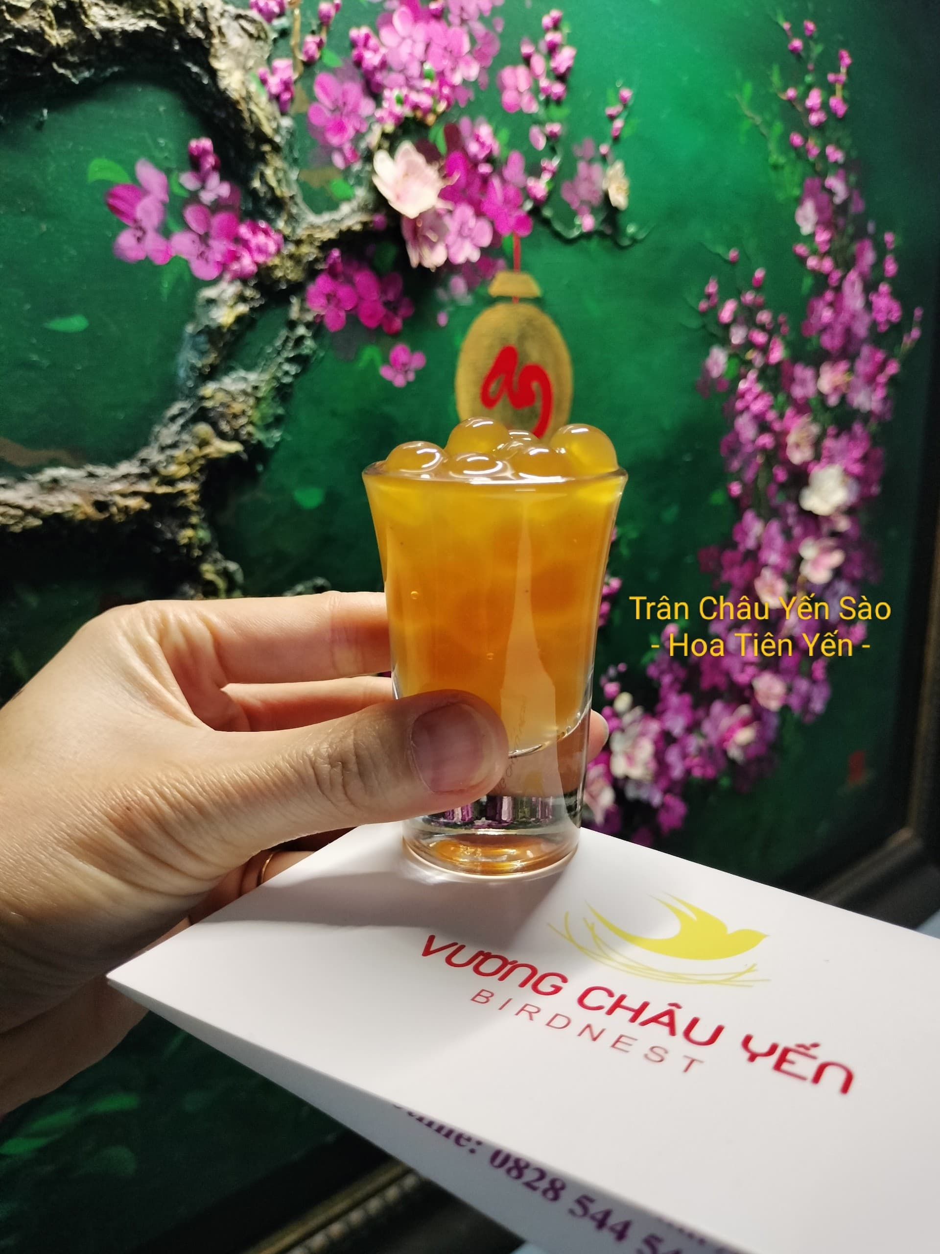Cách Chưng Yến Sào Đúng Chuẩn — Giữ Nguyên Dưỡng Chất
